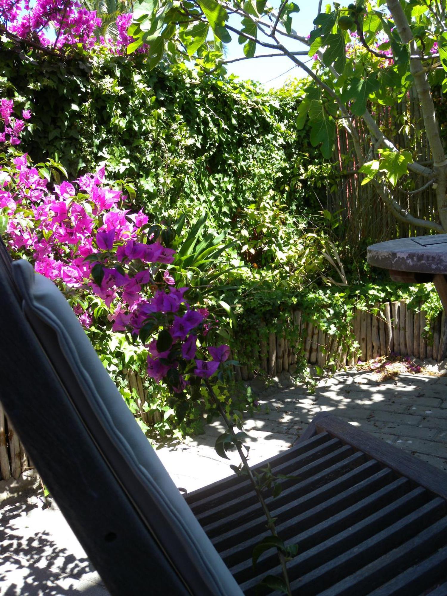Capetown 4U Guesthouse Bloubergstrand Eksteriør bilde