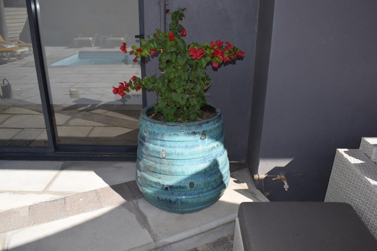 Capetown 4U Guesthouse Bloubergstrand Eksteriør bilde